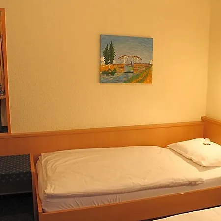 City Hotel Neuwied 3*