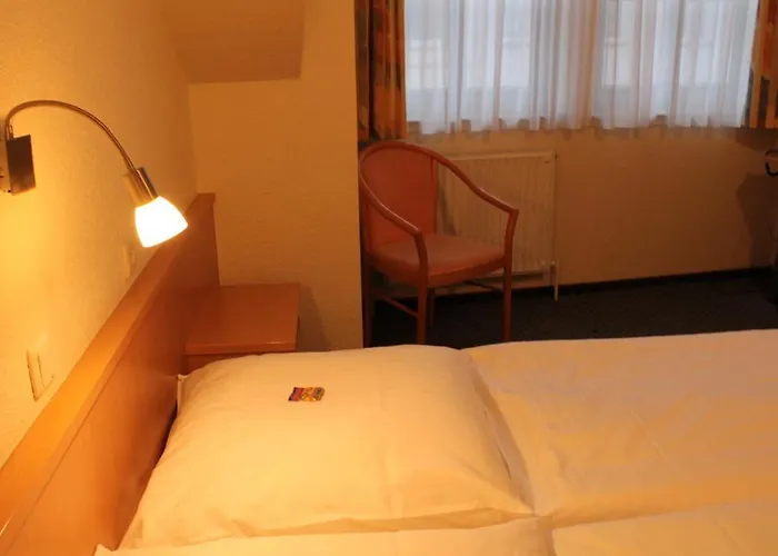 新韦德城市酒店 酒店 3*